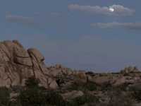 Desert Wonders: Hiking the Hidden Valley Trail in Joshua Tree