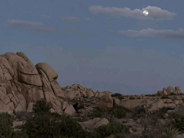 Desert Wonders: Hiking the Hidden Valley Trail in Joshua Tree