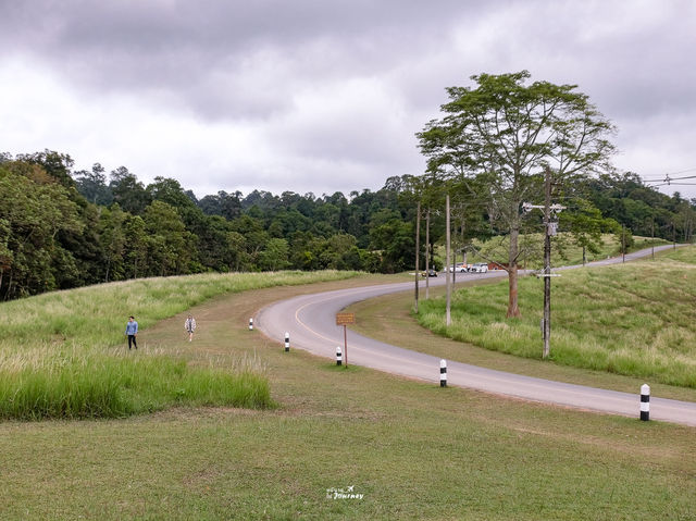 เส้นทางศึกษาธรรมชาติหนองผักชี เขาใหญ่