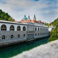 Ljubljana’s Riverside Blossoms