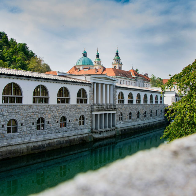 Ljubljana’s Riverside Blossoms