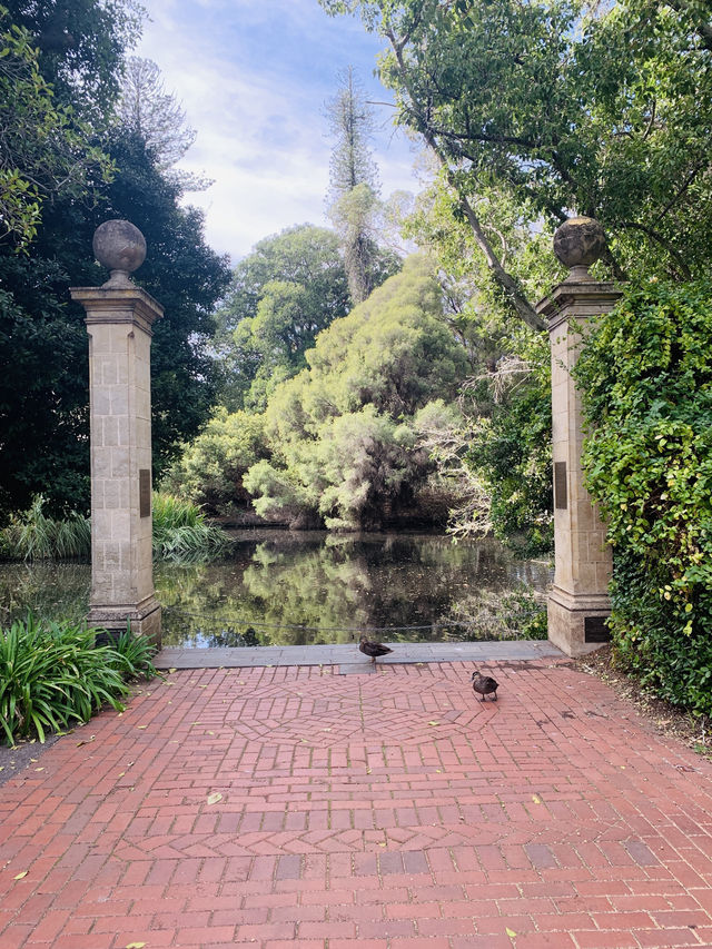 Adelaide what an amazing city!