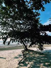 🌴✨ Relaxing on Bintan Island: A Paradise for Nature and Food Lovers ✨🌴