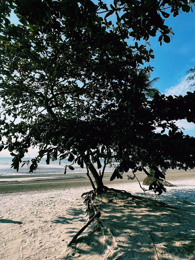 🌴✨ Relaxing on Bintan Island: A Paradise for Nature and Food Lovers ✨🌴