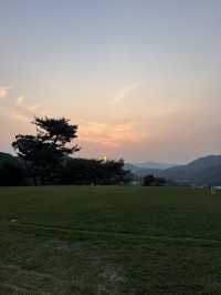 초록빛 그린, 시원한 바람… 안성에서의 완벽한 티타임