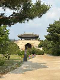 🏯 시간을 거슬러 걷는 하루, 경복궁🤍