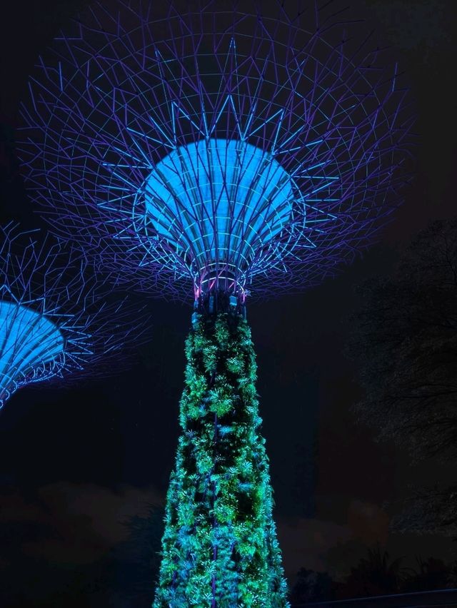 Gardens by the Bay Singapore