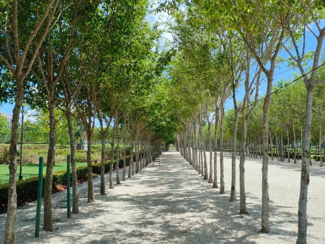 Discover the Hidden European-Style Park at Gamuda Cove! 🌿🏰