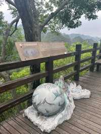 Wanfenglin: A Masterpiece of Karst Peaks & Rice Terraces