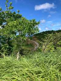 Bay Breeze: A Tranquil Beach View from Carabao Island Romblon