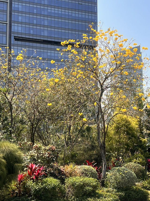 適合親子郊遊的深圳香蜜公園