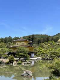 🏯金光閃閃的夢幻京都✨金閣寺自由行