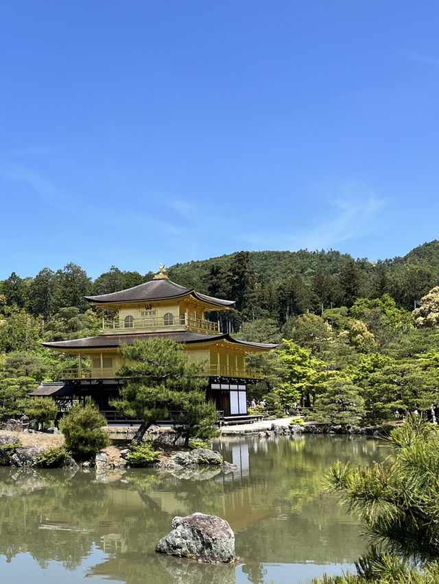 🏯金光閃閃的夢幻京都✨金閣寺自由行