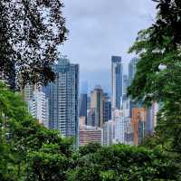 Your Chill Escape from the City Hustle