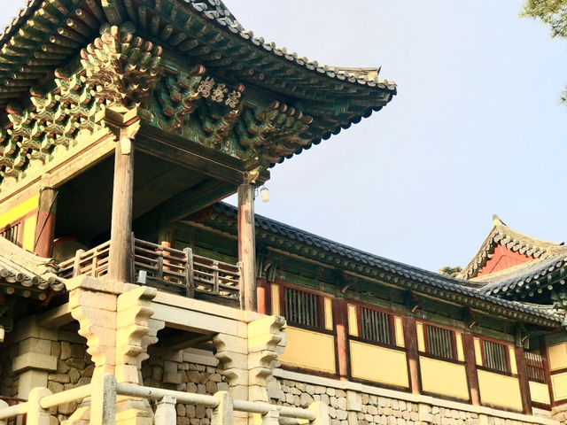 경주 감성 당일치기✨ 감포항부터 안압지 야경까지 알찬 코스