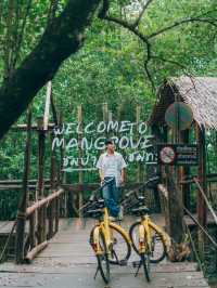 พักผ่อนแบบชิลๆ ที่พักติดป่าชายเลน ฟีลกู๊ดมาก 💚🌳