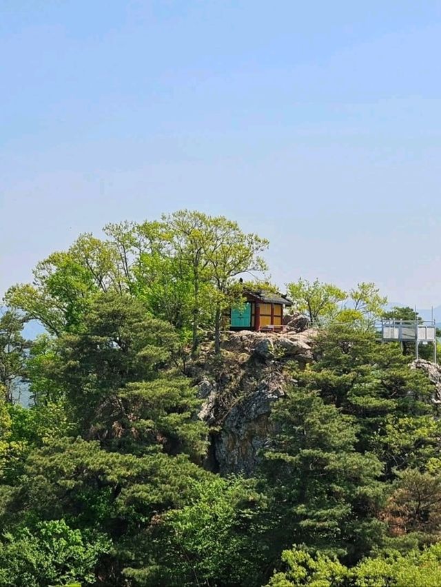 Exploring Palbongsan Was a Chill Little Adventure