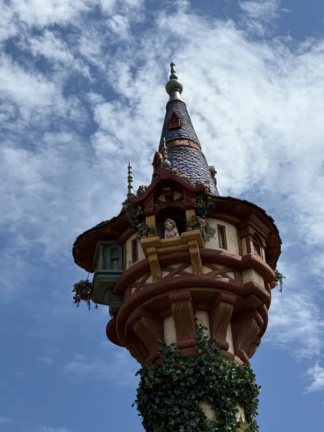 An Honest Review for DisneySea.