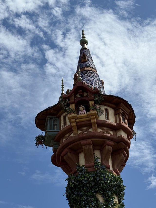 An Honest Review for DisneySea.