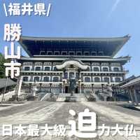 圧巻の迫力‼️日本最大級の大仏