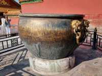 The Dragon's Sanctuary: Unveiling the Forbidden City
