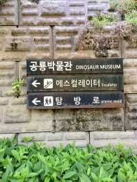 고성 공룡여행 코스를 소개해요!