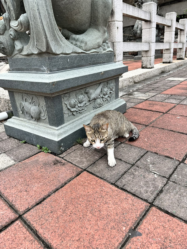 九二一大地震遺跡！南投集集壯觀倒廟！