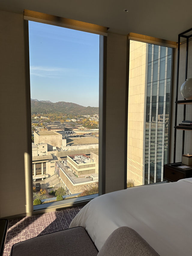 포시즌스 서울 솔직 후기 - 누나 덕분에 무료 숙박! 코너룸 업그레이드 대박 🏙️
