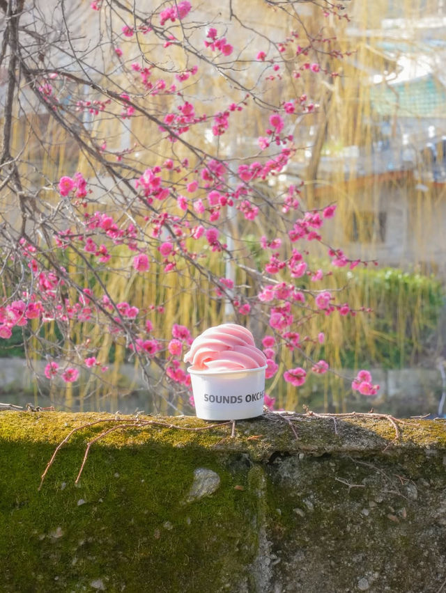 봄이 오는 소리가 들리는 순천 사운즈 옥천🌸❤️