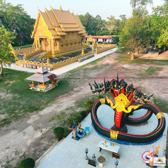 วัดทุ่งไทรทอง