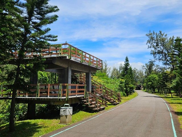 恍如仙境的台東森林公園琵琶湖