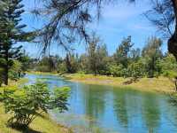 恍如仙境的台東森林公園琵琶湖