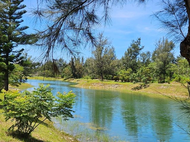 恍如仙境的台東森林公園琵琶湖