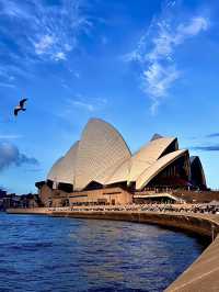 ออสเตรเลีย🇦🇺