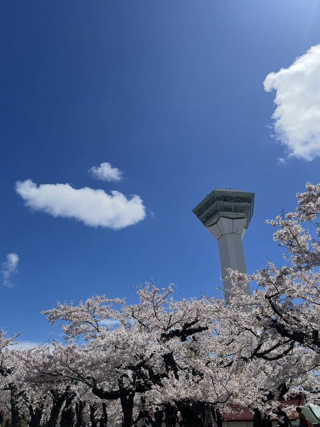 🎯【北海道・五稜郭公園】星型要塞の歴史と桜が彩る、函館の絶景スポット