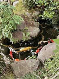 🏯【神奈川・長谷寺】四季を感じる花の名刹で、鎌倉時間をゆったりと