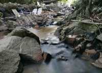 📍 The Hidden Falls ในสวนลับ