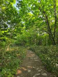 해외여행 삿포로 등산 Mount Moiwa Hiking Walking trail 