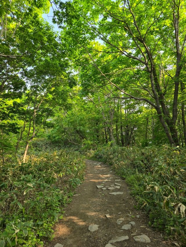 해외여행 삿포로 등산 Mount Moiwa Hiking Walking trail 