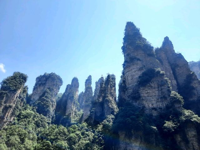 意象 張家界國家森林公園 