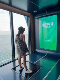 Cruising & Gaming : My Royal Caribbean Adventure!