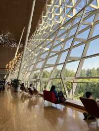 Pudong Library – Shanghai’s Sky-High Reading Cube  