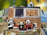 【🇯🇵上野】パンダグッズ約200種類以上のお店🐼&上野に行くならここ寄って！ 🩷