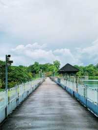 MacRitchie Reservoir 