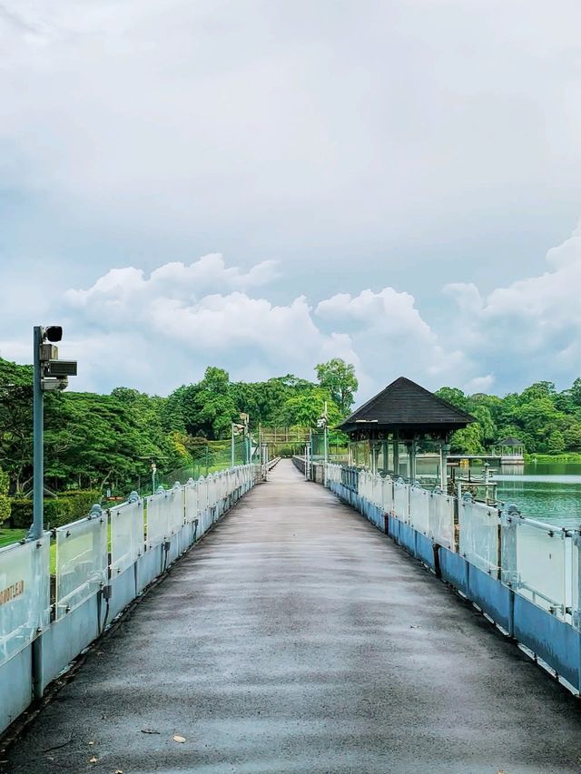 MacRitchie Reservoir 