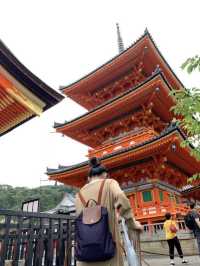 京都慢旅｜穿越千年風韻的片刻🍃⛩️