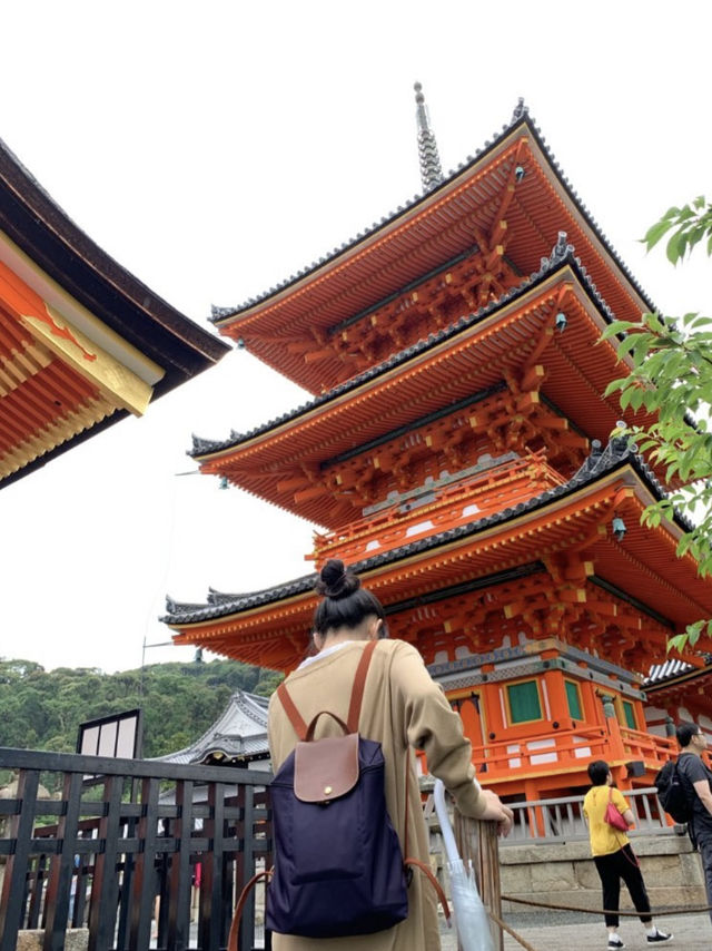 京都慢旅｜穿越千年風韻的片刻🍃⛩️