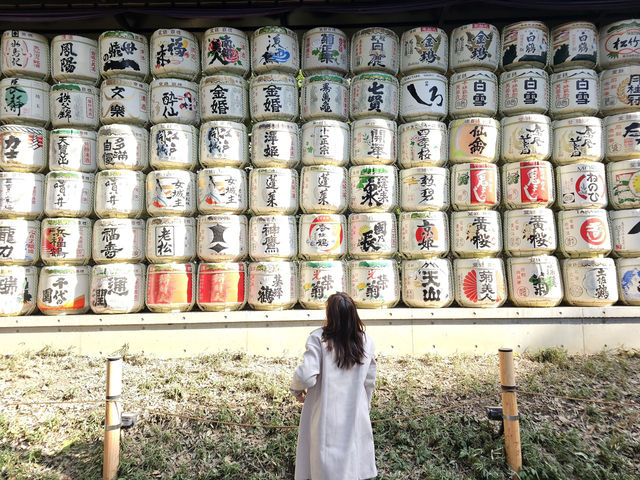 ⛩️ Peaceful Escape at Meiji Jingu ⛩️