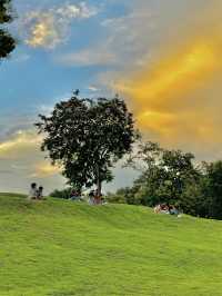 นั่งชิลๆที่ สวนอบจ.เชียงใหม่ 🌳🍃