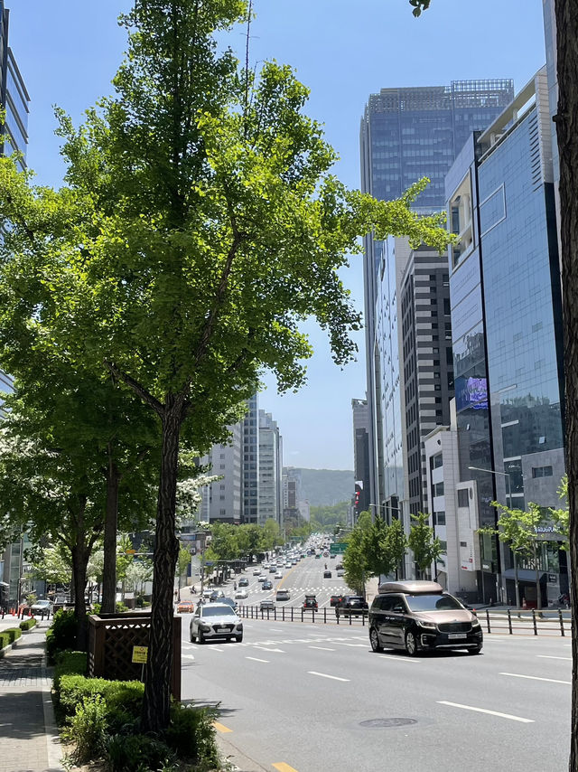 💍 강남에서 만나는 동화 같은 결혼식, 더 라움